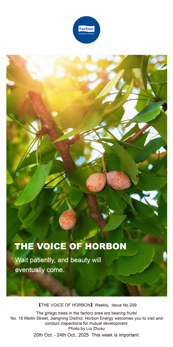 【和之声】耐心期待，，，，，优美终将到来。。。。-(总第209期）2025.10.20英文导出季度推送用.jpg