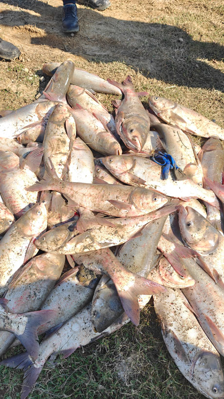 2024.11.23-【和之行】总要来场“冬捕”吧！。ㄐ⊙┙谄惫び闾痢岸丁蓖沤ㄔ硕┬挛排渫几男⊥011.jpg