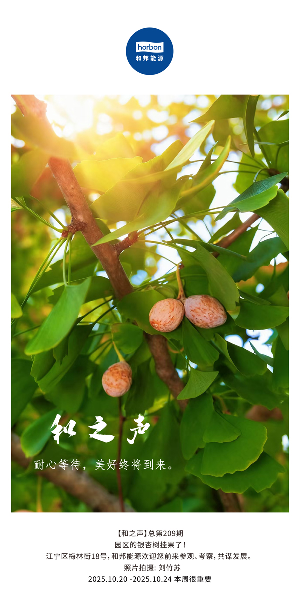 【和之声】耐心期待，，优美终将到来。。。。。-(总第209期）2025.10.20中文导出季度推送用.jpg